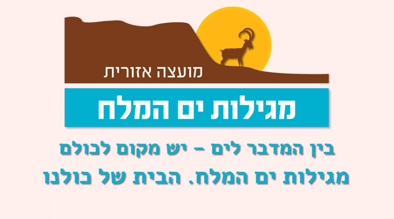 סרטון מערכת