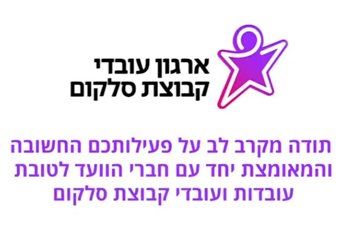 סרטון מערכת